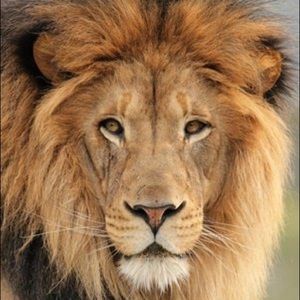 Meet your Posher, Carlos